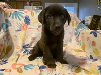 processed/e7a3bea7-3de2-4fe6-a600-83c0be19dc20/listing/1153fc17-7b37-4556-a8d0-002e38b1b46c/4efe6d63-1972-4833-b882-a71592ac16fd