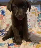 processed/e7a3bea7-3de2-4fe6-a600-83c0be19dc20/listing/1153fc17-7b37-4556-a8d0-002e38b1b46c/7156e662-1d7c-4ce5-ac6b-d4bba767b628