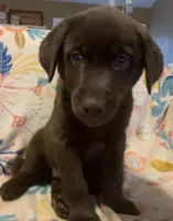 processed/e7a3bea7-3de2-4fe6-a600-83c0be19dc20/listing/1153fc17-7b37-4556-a8d0-002e38b1b46c/80e46182-4d7b-4f23-a214-9b74f2362123