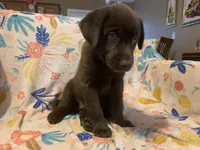 processed/e7a3bea7-3de2-4fe6-a600-83c0be19dc20/listing/1153fc17-7b37-4556-a8d0-002e38b1b46c/919ebb95-b37f-49e7-844c-4f61728313d6