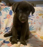 processed/e7a3bea7-3de2-4fe6-a600-83c0be19dc20/listing/1153fc17-7b37-4556-a8d0-002e38b1b46c/baf7fa04-9915-4dee-835a-aeb254eca9c2