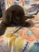 processed/e7a3bea7-3de2-4fe6-a600-83c0be19dc20/listing/5b457746-c9ba-4cdd-810b-f60568798a46/1850b760-2b11-4623-9a30-7f0b76f37022