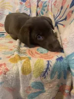 processed/e7a3bea7-3de2-4fe6-a600-83c0be19dc20/listing/5b457746-c9ba-4cdd-810b-f60568798a46/2ff4bd3a-cae6-4801-b199-5910231665a7