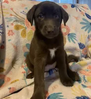 processed/e7a3bea7-3de2-4fe6-a600-83c0be19dc20/listing/5b457746-c9ba-4cdd-810b-f60568798a46/7319971f-71b9-47c0-b56a-dcf83130407a