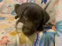 processed/e7a3bea7-3de2-4fe6-a600-83c0be19dc20/listing/5b457746-c9ba-4cdd-810b-f60568798a46/a226e65e-b826-4019-92ac-11473026a366