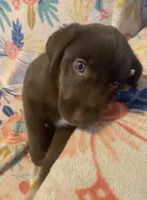 processed/e7a3bea7-3de2-4fe6-a600-83c0be19dc20/listing/5b457746-c9ba-4cdd-810b-f60568798a46/dbe7e4f4-d694-4fc2-b16f-74ef5932d2eb