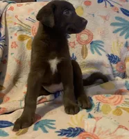 processed/e7a3bea7-3de2-4fe6-a600-83c0be19dc20/listing/5b457746-c9ba-4cdd-810b-f60568798a46/f5648d89-ef1c-4604-9a55-931de35fe077