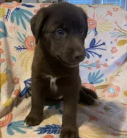 processed/e7a3bea7-3de2-4fe6-a600-83c0be19dc20/listing/8435ae6f-7389-4665-94e8-fc390229c943/304f57cb-071d-4c5c-a29a-8cf3b0011071