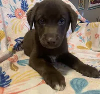 processed/e7a3bea7-3de2-4fe6-a600-83c0be19dc20/listing/8435ae6f-7389-4665-94e8-fc390229c943/58b9f87f-d4a3-4245-a518-964784ed0c8c