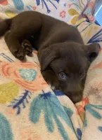 processed/e7a3bea7-3de2-4fe6-a600-83c0be19dc20/listing/8435ae6f-7389-4665-94e8-fc390229c943/5a82042b-41a4-499b-aa92-7b5fd9ffd050