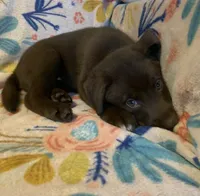 processed/e7a3bea7-3de2-4fe6-a600-83c0be19dc20/listing/8435ae6f-7389-4665-94e8-fc390229c943/6adc2b6d-aeb3-4f61-a6f7-f212dd1ed3e0