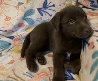 processed/e7a3bea7-3de2-4fe6-a600-83c0be19dc20/listing/8435ae6f-7389-4665-94e8-fc390229c943/7fdedd89-9838-4580-92f5-b0a8cff9036d