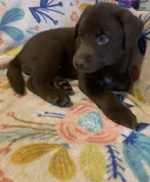 processed/e7a3bea7-3de2-4fe6-a600-83c0be19dc20/listing/8435ae6f-7389-4665-94e8-fc390229c943/9344d4de-4fe6-4ee8-a01f-5695b974ad25