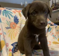 processed/e7a3bea7-3de2-4fe6-a600-83c0be19dc20/listing/8435ae6f-7389-4665-94e8-fc390229c943/c41ecf1e-70ed-4dc8-9487-6e522ac4592c