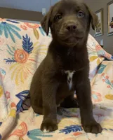 processed/e7a3bea7-3de2-4fe6-a600-83c0be19dc20/listing/8435ae6f-7389-4665-94e8-fc390229c943/da4e0f14-ca0c-4c86-8acf-60f86748c75c