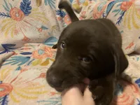 processed/e7a3bea7-3de2-4fe6-a600-83c0be19dc20/listing/95b7c22a-d80f-4c46-a04b-3fc8e8084dce/4ed94931-47ea-42e9-923b-ba62f21a3b3b