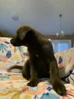 processed/e7a3bea7-3de2-4fe6-a600-83c0be19dc20/listing/95b7c22a-d80f-4c46-a04b-3fc8e8084dce/de8c7c31-bb2e-4043-85ea-d5f013d6c95a