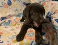 processed/e7a3bea7-3de2-4fe6-a600-83c0be19dc20/listing/95b7c22a-d80f-4c46-a04b-3fc8e8084dce/e0ae1a28-9ae7-4208-97a4-f362252b4d41