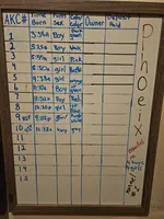 Red male (Phoenix X Optimus), a male Belgian Malinois for sale in West Union, OH – Photo 2 of 3