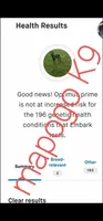 AKC Light green male (Valor X Optimus), a male Belgian Malinois for sale in West Union, OH – 6 of 9