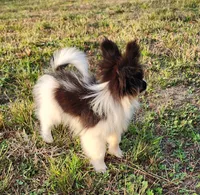 processed/e7be0251-135c-442c-94ce-809607886e0f/listing/5f5e681c-db30-4ac5-83ff-25f2c3b89e22/01afc759-fd17-4118-ae4d-1913c99686ab