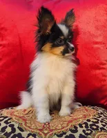 processed/e7be0251-135c-442c-94ce-809607886e0f/listing/5f5e681c-db30-4ac5-83ff-25f2c3b89e22/05e9ddb1-0e92-4182-87ad-8b85aaa3cedd