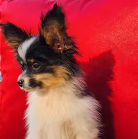 processed/e7be0251-135c-442c-94ce-809607886e0f/listing/5f5e681c-db30-4ac5-83ff-25f2c3b89e22/3d942f8a-5263-4c2d-a1f2-1be4e9e87307