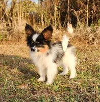 processed/e7be0251-135c-442c-94ce-809607886e0f/listing/5f5e681c-db30-4ac5-83ff-25f2c3b89e22/7c204f97-daa5-43d4-aca5-b2637a0e4380