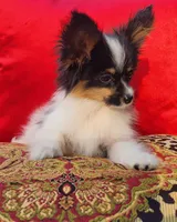 processed/e7be0251-135c-442c-94ce-809607886e0f/listing/5f5e681c-db30-4ac5-83ff-25f2c3b89e22/8446980d-dbf0-49bb-b721-0e80ad7b41d1