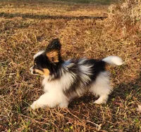 processed/e7be0251-135c-442c-94ce-809607886e0f/listing/5f5e681c-db30-4ac5-83ff-25f2c3b89e22/dca33fad-3741-4bca-8dfd-febc7f74ce7a