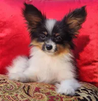 processed/e7be0251-135c-442c-94ce-809607886e0f/listing/5f5e681c-db30-4ac5-83ff-25f2c3b89e22/f32e423a-8bdb-4e39-9153-b7591d9f632c