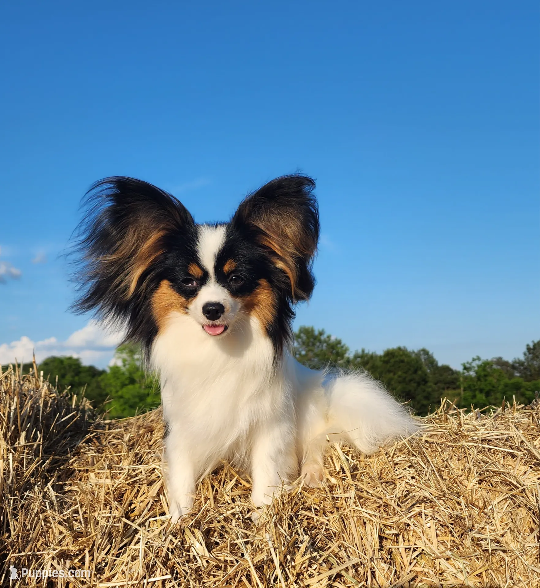 processed/e7be0251-135c-442c-94ce-809607886e0f/listing/5f5e681c-db30-4ac5-83ff-25f2c3b89e22/fe041ce1-ac0d-4b90-b7d4-41b3ef948a83