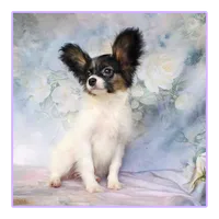 Fudge, a female Papillon for sale in Rutledge, AL – 2 of 6