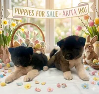 processed/e7be96e7-1dae-467c-bd97-e59d7668d29a/facility/23cc3ae1-002a-40bc-813e-f6960cffcd94