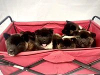 processed/e7be96e7-1dae-467c-bd97-e59d7668d29a/facility/bf61046c-8557-44f5-89f1-e43bcbb210ed