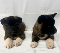 processed/e7be96e7-1dae-467c-bd97-e59d7668d29a/facility/fbb78cac-0ed2-4540-8818-5e93edd2e3b6