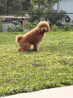 processed/e7c14cb6-1eea-4fc2-b79d-154f547e371e/facility/0e3d661c-5cf8-4545-8f9c-485363b3dac0