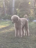 processed/e7c14cb6-1eea-4fc2-b79d-154f547e371e/facility/16fcc154-273e-4425-98af-151add747675