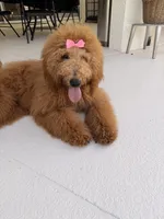 processed/e7c14cb6-1eea-4fc2-b79d-154f547e371e/facility/520c7a5e-5cfe-4159-86c8-da4b47f6e9c6