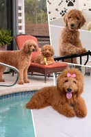 processed/e7c14cb6-1eea-4fc2-b79d-154f547e371e/facility/8cf0e4f5-141b-4b0a-aa3e-0dbe329fa2df