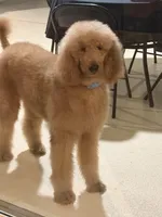 processed/e7c14cb6-1eea-4fc2-b79d-154f547e371e/facility/9b689821-573d-4584-82a7-0f47b2f0c30a