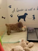 processed/e7c14cb6-1eea-4fc2-b79d-154f547e371e/facility/a4fae69c-c42c-4406-9f54-02f6b63c4134