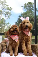 processed/e7c14cb6-1eea-4fc2-b79d-154f547e371e/facility/c0d107fd-183a-4db6-835b-942bf145d431