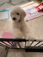 processed/e7c14cb6-1eea-4fc2-b79d-154f547e371e/listing/303fb22c-3ce0-488b-ae4a-56f7160b85ea/9b48b504-e1d8-482f-b445-e2ec40656203