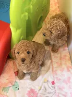 processed/e7c14cb6-1eea-4fc2-b79d-154f547e371e/listing/6011ac9b-538c-4521-b018-e284a5734a49/7181331c-428f-49a7-bef4-3944ece6dba5