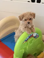 processed/e7c14cb6-1eea-4fc2-b79d-154f547e371e/listing/8072fb20-c0d1-4db6-89a1-bcbda9091473/40641e7f-9bf8-4956-a3c5-1059d1219a88