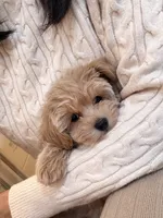 processed/e7c14cb6-1eea-4fc2-b79d-154f547e371e/listing/8072fb20-c0d1-4db6-89a1-bcbda9091473/78c56ed8-8e57-4051-82ef-4956518c2430