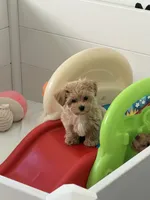 processed/e7c14cb6-1eea-4fc2-b79d-154f547e371e/listing/8072fb20-c0d1-4db6-89a1-bcbda9091473/c85057ba-2cca-4279-a244-0848ce353ff3