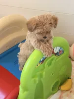 processed/e7c14cb6-1eea-4fc2-b79d-154f547e371e/listing/8072fb20-c0d1-4db6-89a1-bcbda9091473/c9416499-d3c3-471d-9bd1-63d59db5ac17