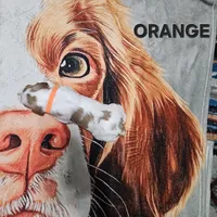 Orange, a female Brittany for sale in Lowden, IA – 2 of 2